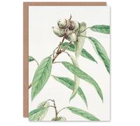 Artery8 Megata Morikaga Art Card Acorns On Oak Tree Botanical