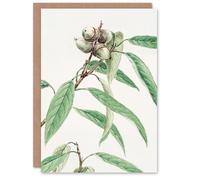 Artery8 Megata Morikaga Art Card Acorns On Oak Tree Botanical