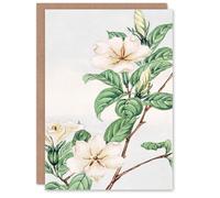 Artery8 Megata Morikaga Art Card Cape Jasmine Vintage Japanese