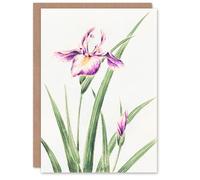 Artery8 Megata Morikaga Art Card Orchid Flower Vintage Japanese