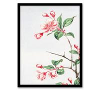 Artery8 Megata Morikaga Framed Wall Art Print Kaido Crabapple Flower Bloom in Pink | Size: A4 Artery8 Pink A4