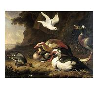 Artery8 Melchior Dhondecoeter Ducks Painting Premium Wall Art Canvas Print 18X24 Inch