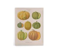Artery8 Melons Fruit Vintage Kitchen Ernst Benary Canvas Wall Art Print in White | Size: W24" x H32" Artery8 White W24" x H32"