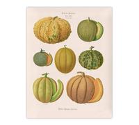 Artery8 Melons Fruit Vintage Kitchen Ernst Benary Wall Art Poster Print in White | Size: W18" x H24" Artery8 White W18" x H24"