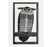 Artery8 Mesquita Horned Owl Design Bird 1915 Art Print Canvas Premium Wall Decor Poster Mural