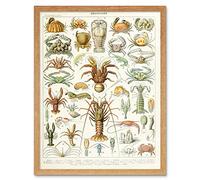 Artery8 Millot Encyclopedia Page Crustaceans Lobster Art Print Framed Poster Wall Decor 12x16 inch