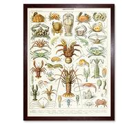 Artery8 Millot Encyclopedia Page Crustaceans Lobster Art Print Framed Poster Wall Decor 12x16 inch