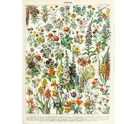 Artery8 Millot Encyclopedia Page Flowers Plants Unframed Wall Art Print Poster Home Decor Premium