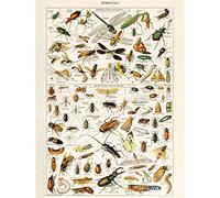 Artery8 Millot Encyclopedia Page Insects Dragonfly Premium Wall Art Canvas Print 18X24 Inch