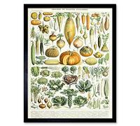 Artery8 Millot Encyclopedia Page Legumes Vegetables Art Print Framed Poster Wall Decor 12x16 inch