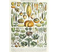 Artery8 Millot Encyclopedia Page Legumes Vegetables Unframed Wall Art Print Poster Home Decor Premium