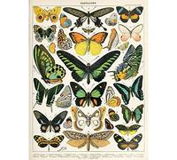 Artery8 Millot Encyclopedia Page Moths Butterflies Large Wall Art Poster Print Thick Paper 18X24 Inch