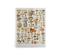 Artery8 Millot Encyclopedia Page Mushroom Varieties Canvas Wall Art Print | Size: W12" x H16" Artery8 Multicolor W12" x H16"