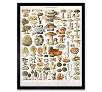 Artery8 Millot Encyclopedia Page Mushrooms Variety Art Print Framed Poster Wall Decor 12x16 inch