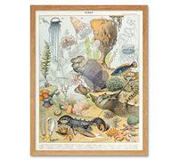 Artery8 Millot Encyclopedia Page Ocean Animals Art Print Framed Poster Wall Decor 12x16 inch