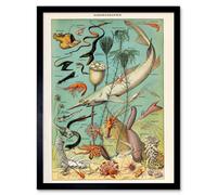 Artery8 Millot Encyclopedia Page Ocean Fish Shark 12X16" Framed Wall Art Print