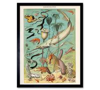 Artery8 Millot Encyclopedia Page Ocean Fish Shark 12x16" Framed Wall Art Print | Size: W12" x H16" Artery8 Multicolor W12" x H16"