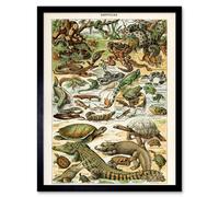 Artery8 Millot Encyclopedia Page Reptiles Snake Tortoise 12x16" Framed Art | Size: W12" x H16" Artery8 Multicolor W12" x H16"
