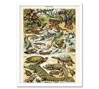 Artery8 Millot Encyclopedia Page Reptiles Snake Tortoise Art Print Framed Poster Wall Decor 12x16 inch