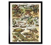 Artery8 Millot Encyclopedia Page Reptiles Snake Tortoise Art Print Framed Poster Wall Decor 12x16 inch