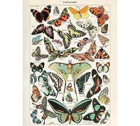 Artery8 Millot Encyclopedia Page Variety Butterflies Large Wall Art Poster Print Thick Paper 18X24 Inch