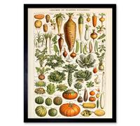Artery8 Millot Encyclopedia Page Vegetables Legumes 12x16" Framed Art Print | Size: W12" x H16" Artery8 Multicolor W12" x H16"