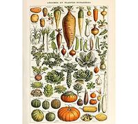 Artery8 Millot Encyclopedia Page Vegetables Legumes Art Print Canvas Premium Wall Decor Poster Mural