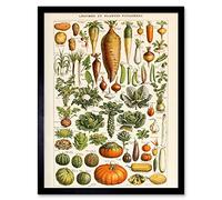 Artery8 Millot Encyclopedia Page Vegetables Legumes Art Print Framed Poster Wall Decor 12x16 inch