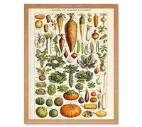 Artery8 Millot Encyclopedia Page Vegetables Legumes Art Print Framed Poster Wall Decor 12x16 inch