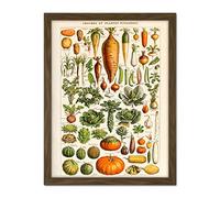 Artery8 Millot Encyclopedia Page Vegetables Legumes Artwork Framed Wall Art Print 18X24 Inch
