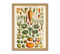 Artery8 Millot Encyclopedia Page Vegetables Legumes Artwork Framed Wall Art Print 18X24 Inch