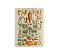 Artery8 Millot Encyclopedia Page Vegetables Legumes Canvas Wall Art Print | Size: W24" x H32" Artery8 Multicolor W24" x H32"