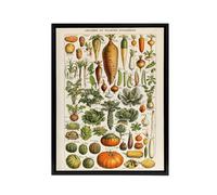 Artery8 Millot Encyclopedia Page Vegetables Legumes Framed Canvas Wall Art Print | Size: W18" x H24" Artery8 Multicolor W18" x H24"