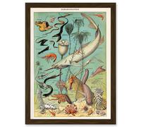 Artery8 Millot Encyclopedia vintage Ocean Fish Shark Prawns Nature Artwork Framed Wall Art Print A4 in Brown Artery8 Brown