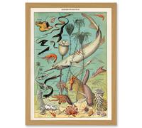 Artery8 Millot Encyclopedia vintage Ocean Fish Shark Prawns Nature Artwork Framed Wall Art Print A4 in Light Oak Artery8 Light Oak