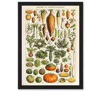 Artery8 Millot Encyclopedia vintage Vegetables Legumes Nature Artwork Framed Wall Art Print A4 in Black Artery8 Black