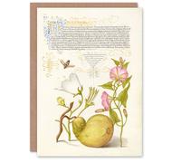 Artery8 Model Book of Calligraphy Art Card Beetle Flowers and Gourd