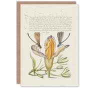 Artery8 Model Book of Calligraphy Art Card Damselflies on Spanish Iris