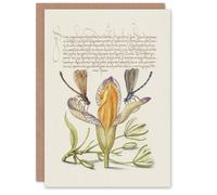 Artery8 Model Book of Calligraphy Art Card Damselflies on Spanish Iris