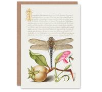 Artery8 Model Book of Calligraphy Art Card Dragonfly Pear and Carnation