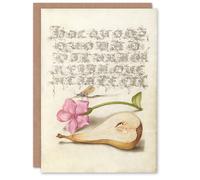 Artery8 Art Card Mayfly Red Campion and Pear Model Book of Calligraphy