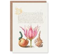 Artery8 Art Card Pear Pink Tulip and Seashell Model Book of Calligraphy