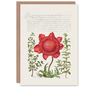 Artery8 Model Book of Calligraphy Art Card Poppy Anemone and Myrtle