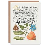 Artery8 Model Book of Calligraphy Art Card Talewort Pea and Lantern Plant