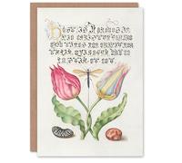 Artery8 Model Book of Calligraphy Art Card Tulip Ichneumon Wasp and Beans