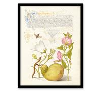 Artery8 Model Book Of Calligraphy Framed Wall Art Beetle Flowers And Gourd - A3 Size