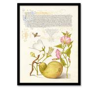 Artery8 Model Book of Calligraphy Framed Wall Art Beetle Flowers & Gourd | Size: A4 Artery8 Multicolor A4