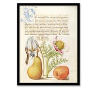 Artery8 Model Book of Calligraphy Framed Wall Art Caterpillar Flowers & Fruit | Size: A3 Artery8 Multicolor A3