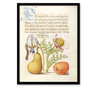 Artery8 Model Book Of Calligraphy Framed Wall Art Caterpillar Flowers And Fruit - A3 Size