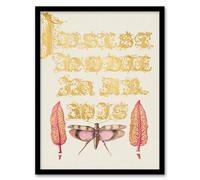 Artery8 Model Book of Calligraphy Framed Wall Art Chard & Red Winged Grasshopper in Gold | Size: A4 Artery8 Gold A4